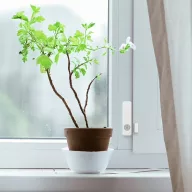   Aeotec Door Window Sensor 8 – nyitás-, dőlés-, hőmérséklet- és páratartalom-érzékelő, Z-Wave, fehér (ZWA055-C)