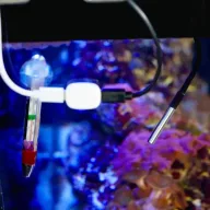   Shelly Temperature sensor DS18B20 – hőmérő szenzor, 3.5mm jack, 1m kábellel, Shelly Pill-hez