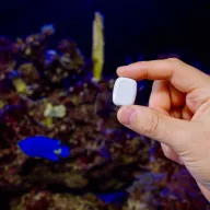   The Pill by Shelly – többcélú bemeneti modul, Wi-Fi, Bluetooth, fehér (S3SN-0U53X)