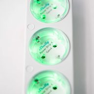   Shelly Power Strip 4 Gen4 – okos hosszabító, négy aljzattal, fogyasztásmérő, Wi-Fi, Zigbee, Matter, fehér 